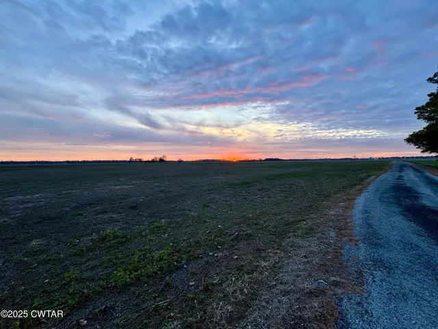 a view of a city with lush green forest