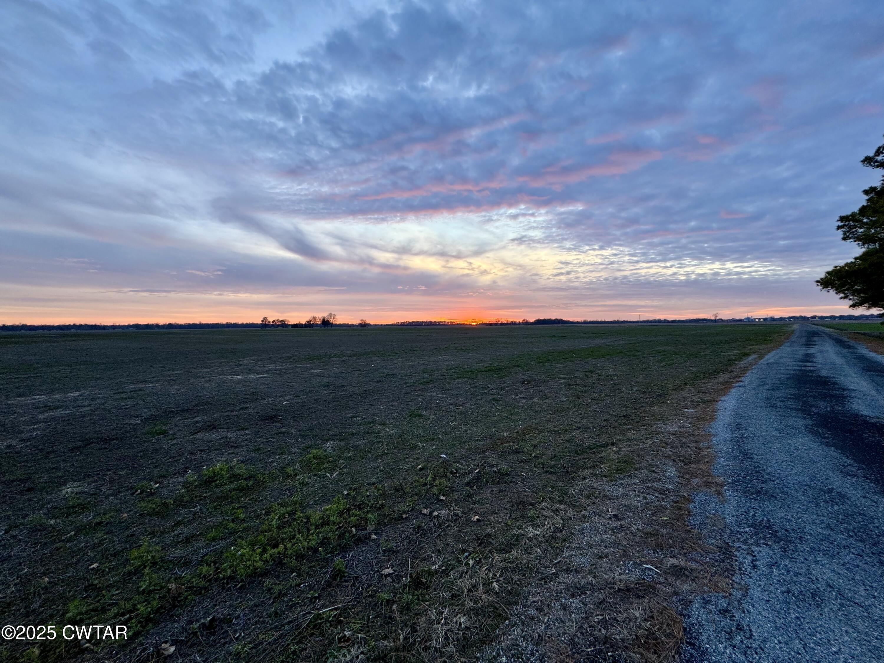 0 Sunkist Beach Road Tiptonville, TN 38079 - Photo 16 of 24 a view of a city with lush green forest