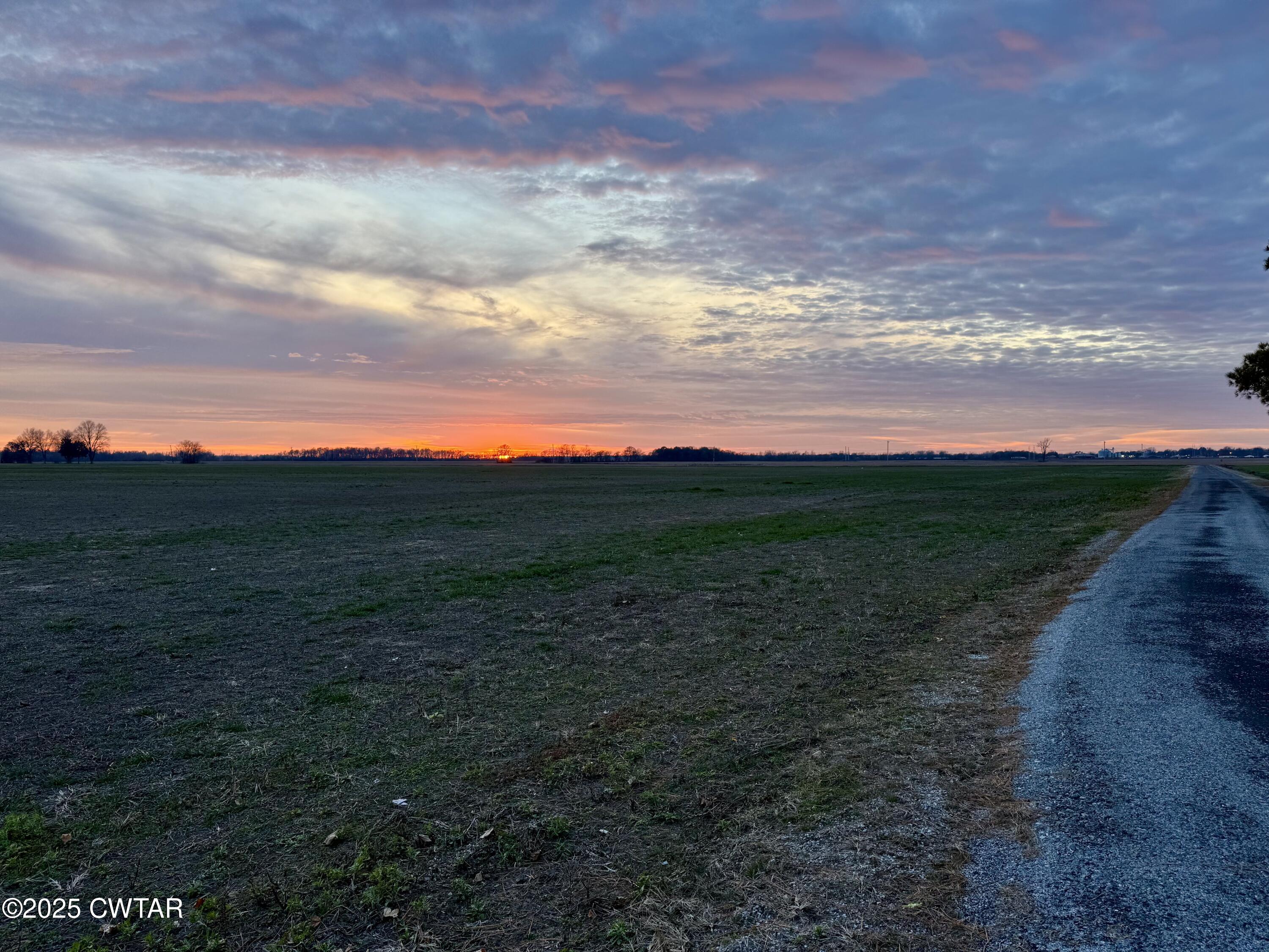 0 Sunkist Beach Road Tiptonville, TN 38079 - Photo 17 of 24 a view of a yard with an outdoor space