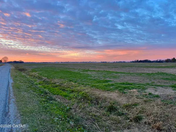 a view of a field with trees in background