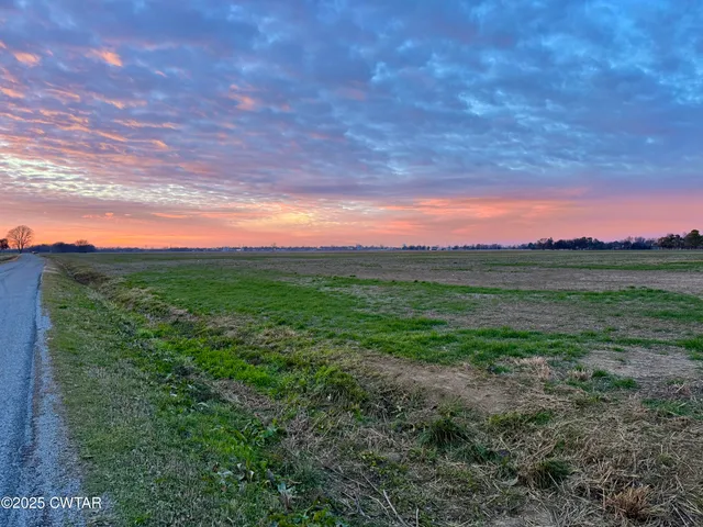 a view of a field with trees in background