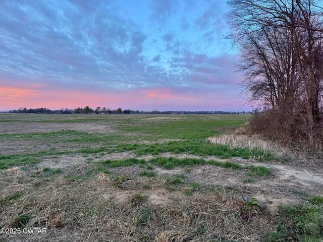 a view of a yard with a garden