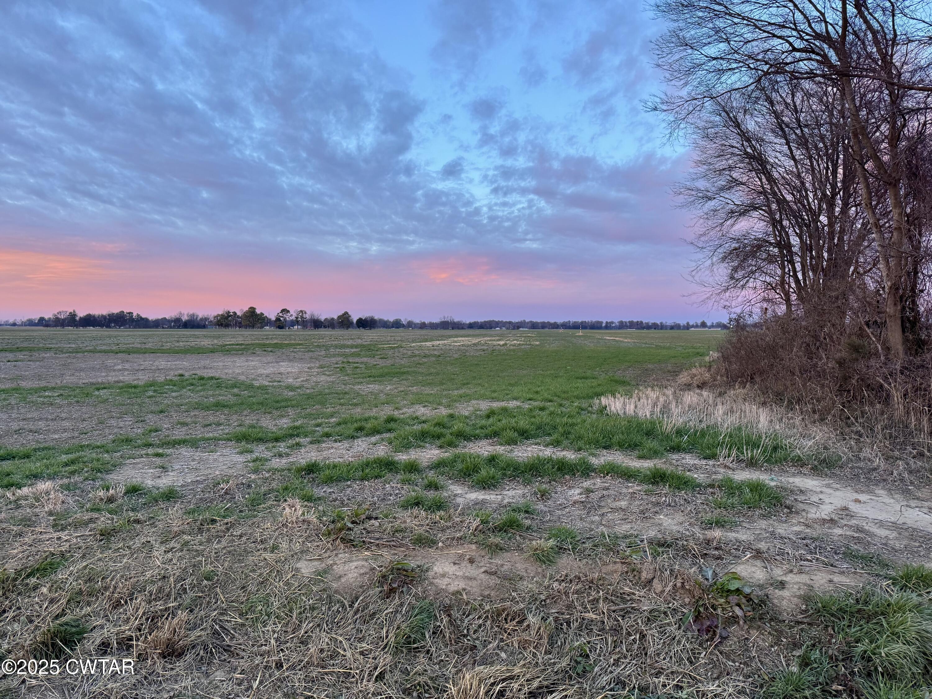 0 Sunkist Beach Road Tiptonville, TN 38079 - Photo 22 of 24 a view of a field with trees in background