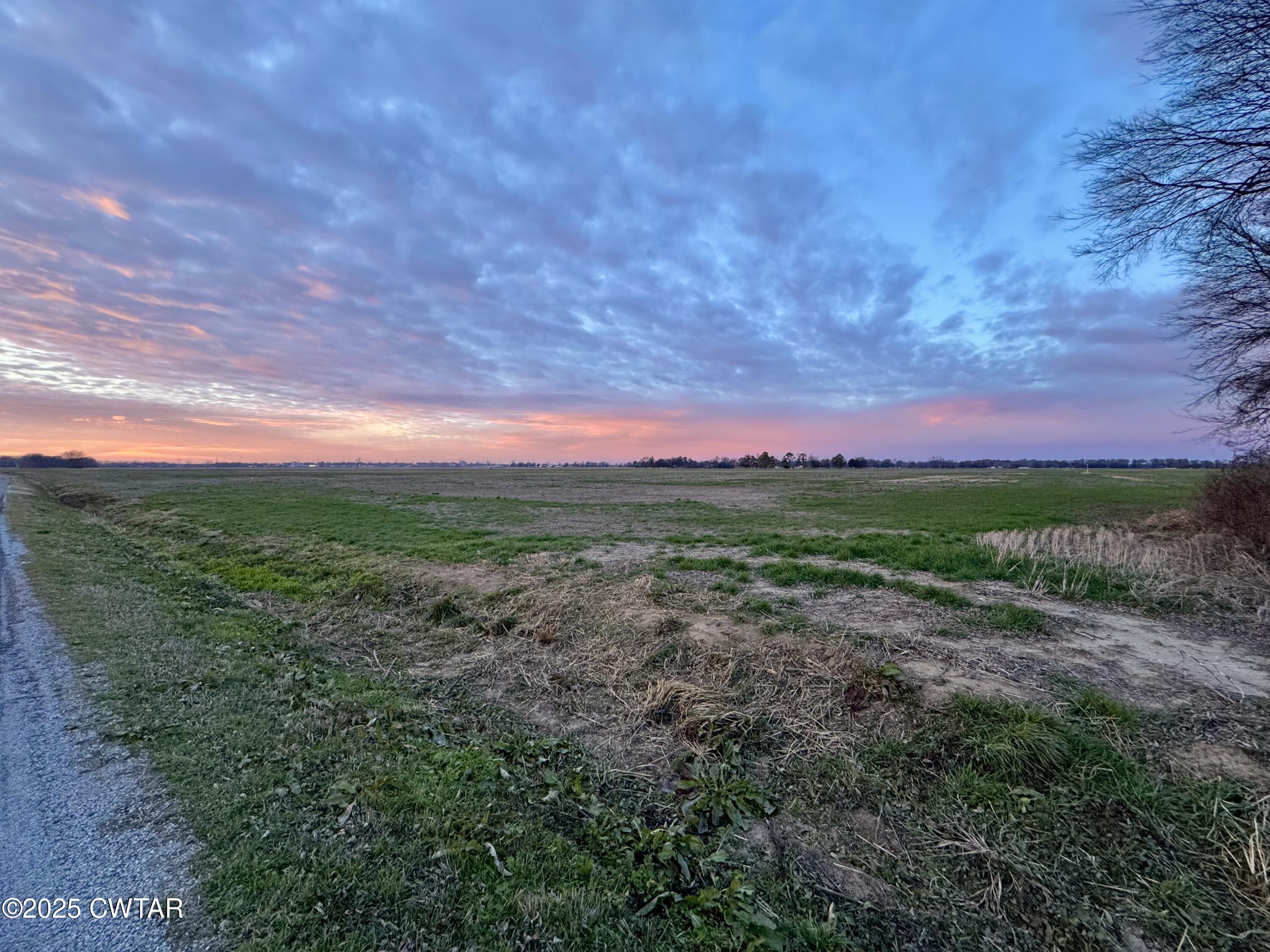 0 Sunkist Beach Road Tiptonville, TN 38079 - Photo 23 of 24 a view of a yard with a garden