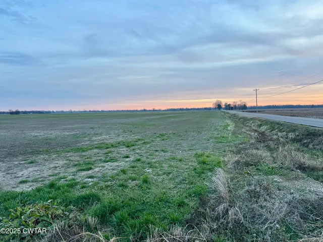 a view of a big yard with lots of green space