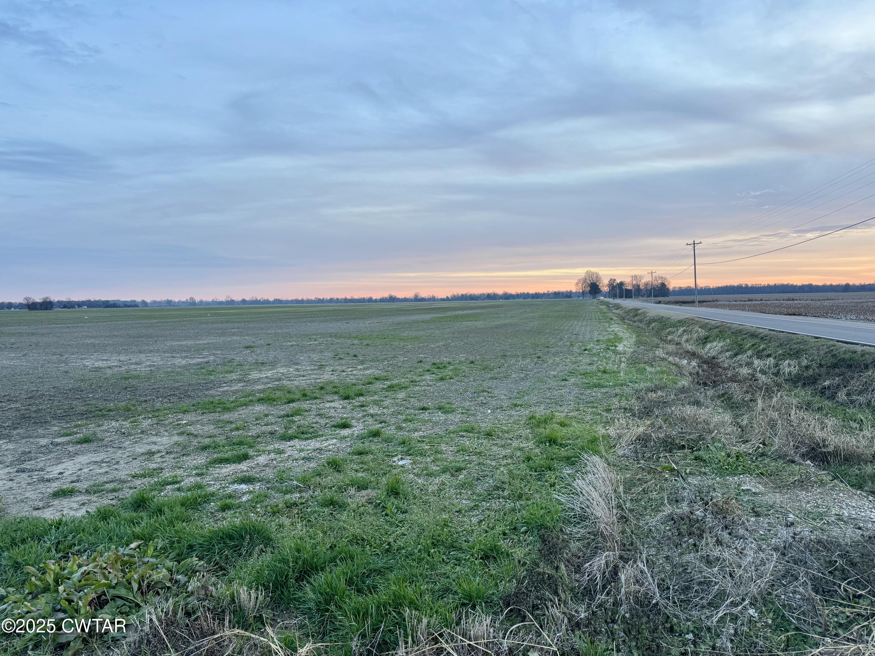 0 Sunkist Beach Road Tiptonville, TN 38079 - Photo 10 of 24 a view of a big yard with lots of green space
