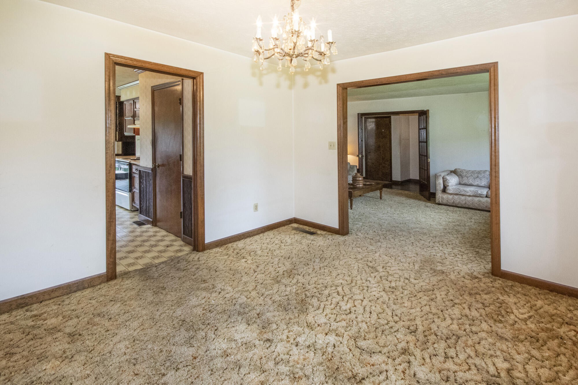 254 McKinney Road Blaine, TN 37709 - Photo 5 of 31 Gallery Image 5