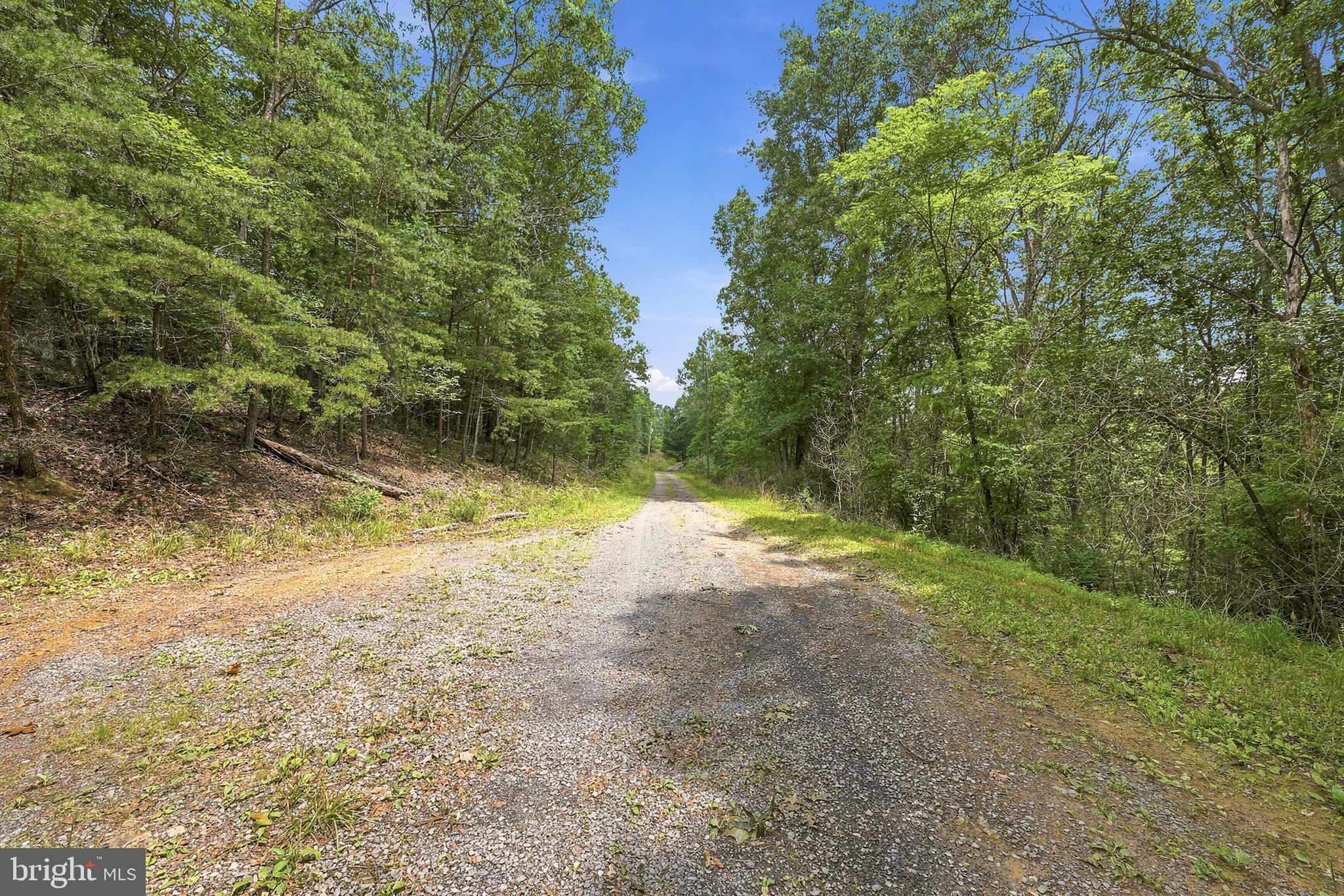 464 Belle Hollow Estates Road Augusta, WV 26704 - Photo 3 of 17 Top of driveway Tract 9