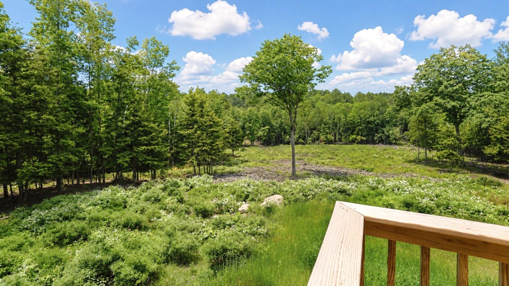42 Hobbs Hill Road Harrison, ME 04040 - Photo 9 of 59 7