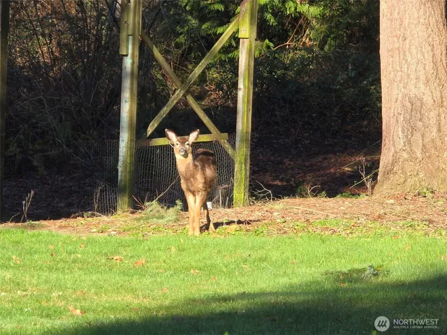 $600,000 | 11629 20th Street Southeast, Lake Stevens, WA 98258