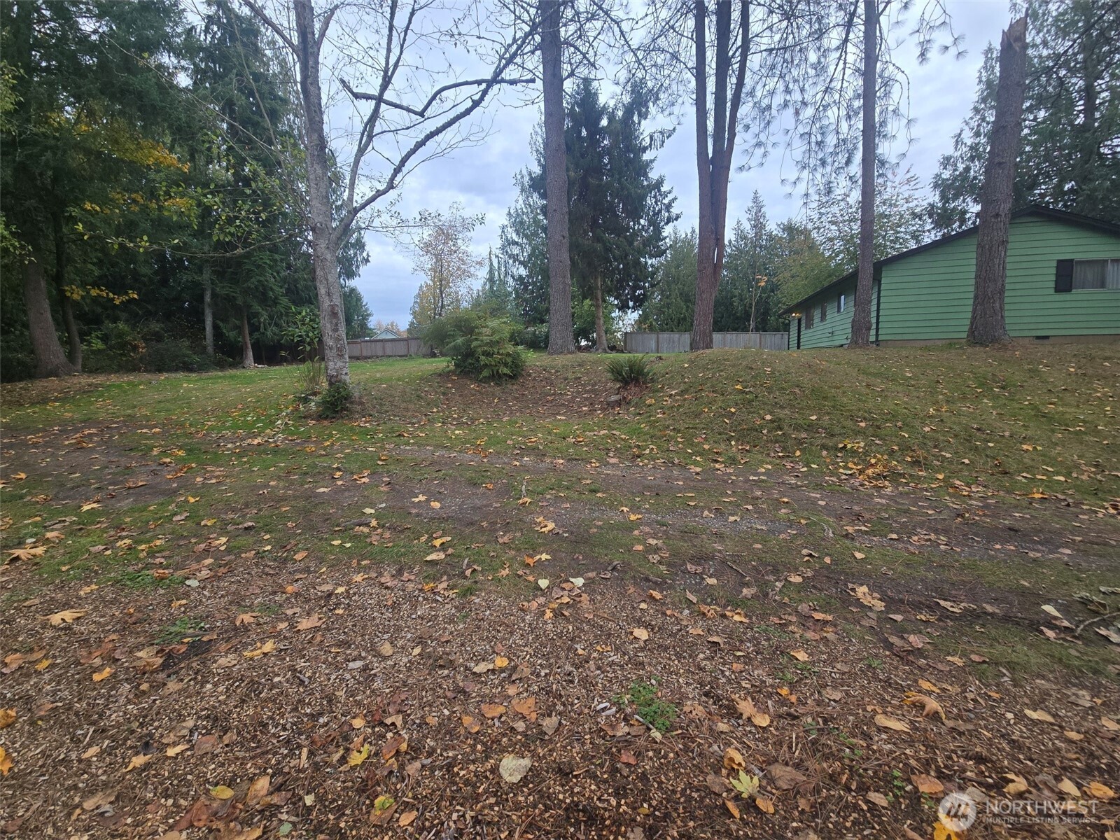 11629 20th Street Southeast Lake Stevens, WA 98258 - Photo 10 of 17 a view of a backyard with large trees