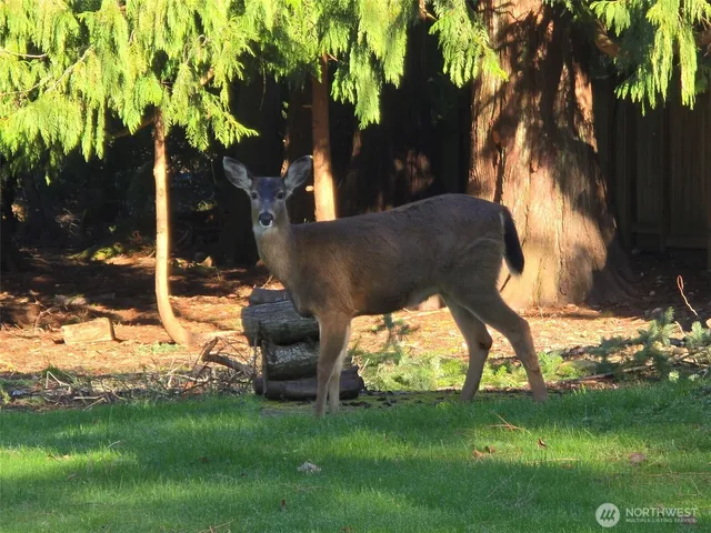 $600,000 | 11629 20th Street Southeast, Lake Stevens, WA 98258