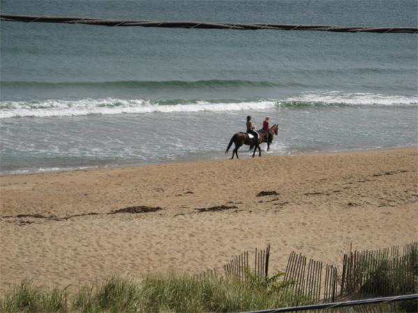 51 Beach Road Salisbury, MA 01952 - Photo 6 of 6