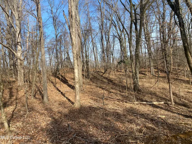 $65,000 | Brownsferry Rd Road, Sarah, MS 38665