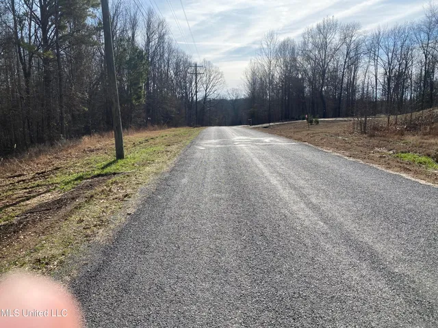 $65,000 | Brownsferry Rd Road, Sarah, MS 38665