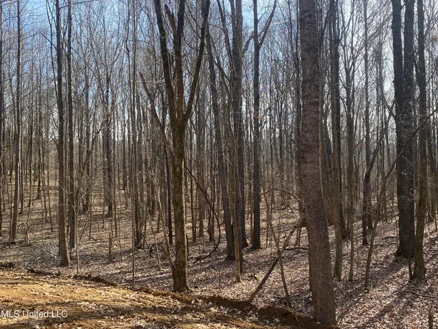 $65,000 | Brownsferry Rd Road, Sarah, MS 38665