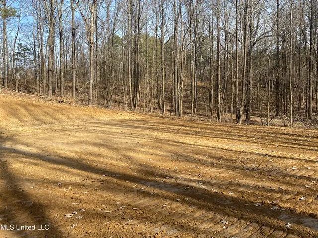 $65,000 | Brownsferry Rd Road, Sarah, MS 38665