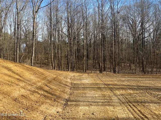 $65,000 | Brownsferry Rd Road, Sarah, MS 38665