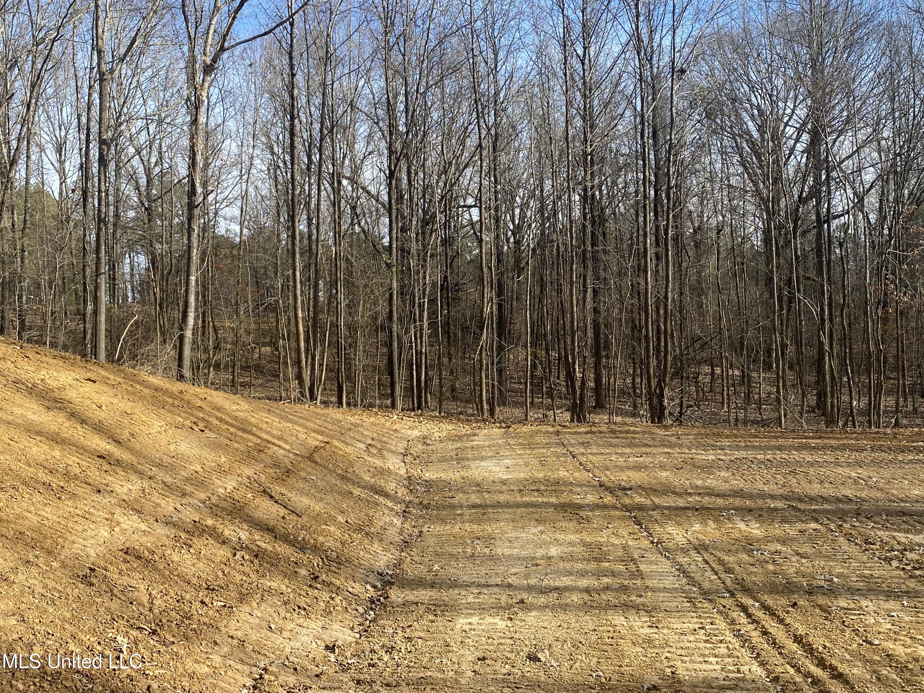 Brownsferry Rd Road Sarah, MS 38665 - Photo 8 of 12 IMG_6313