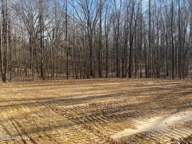$65,000 | Brownsferry Rd Road, Sarah, MS 38665