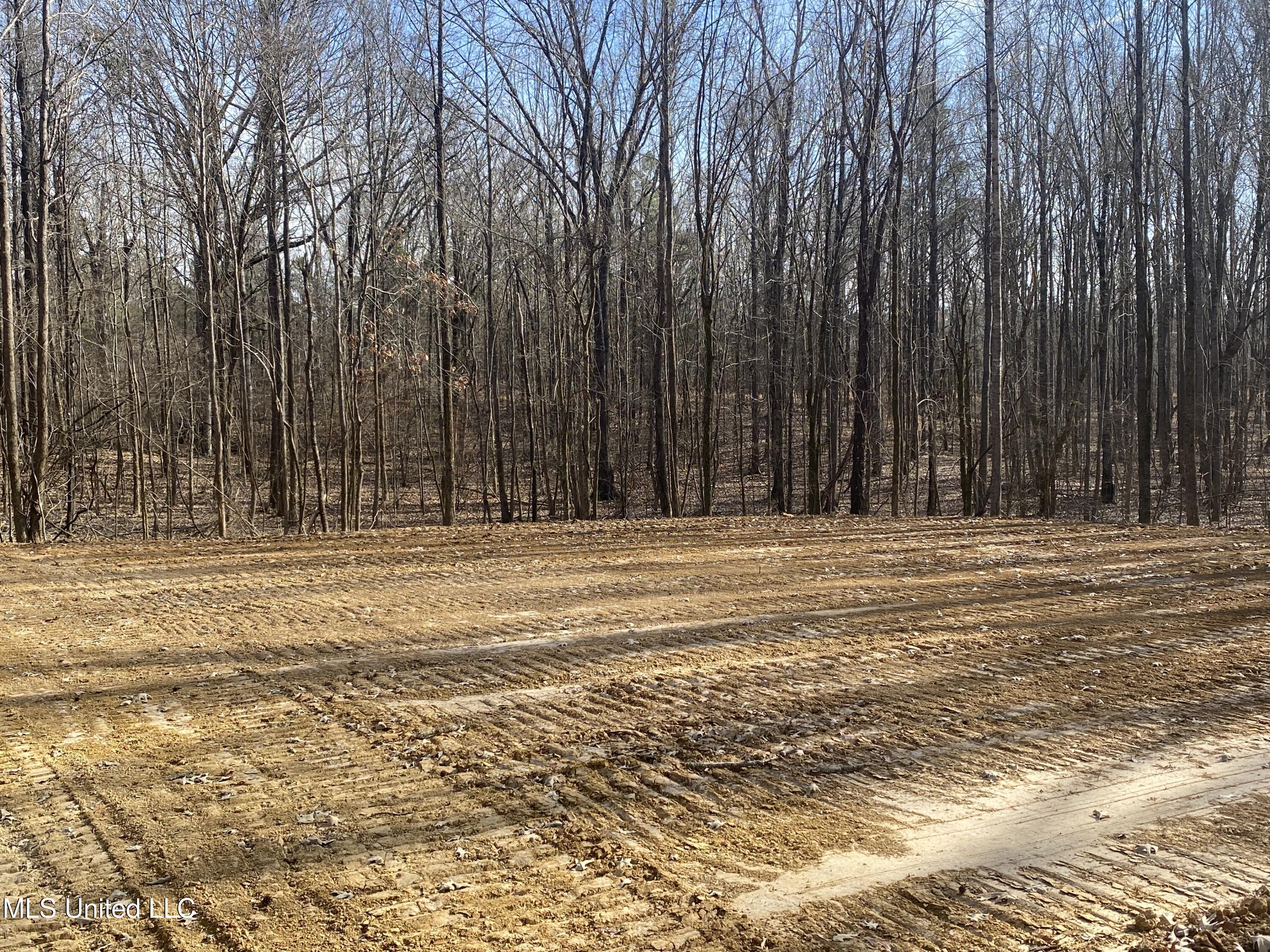 Brownsferry Rd Road Sarah, MS 38665 - Photo 9 of 12 IMG_6314