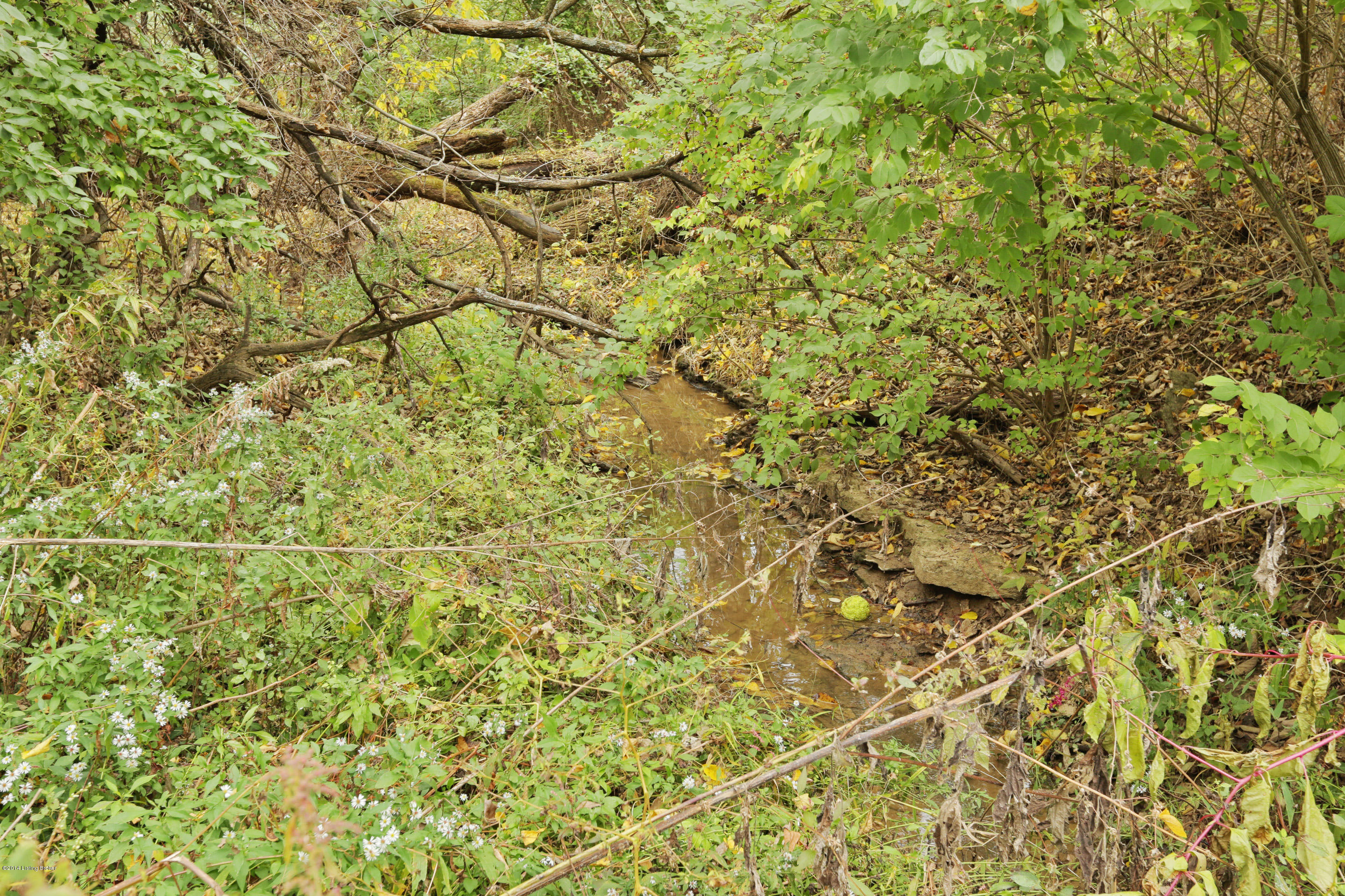 1 Ellis Road Eminence, KY 40019 - Photo 17 of 17 stream-2