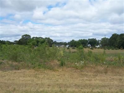 1 Ruggles Road Baroda, MI 49101 - Photo 2 of 2 Additional Photo