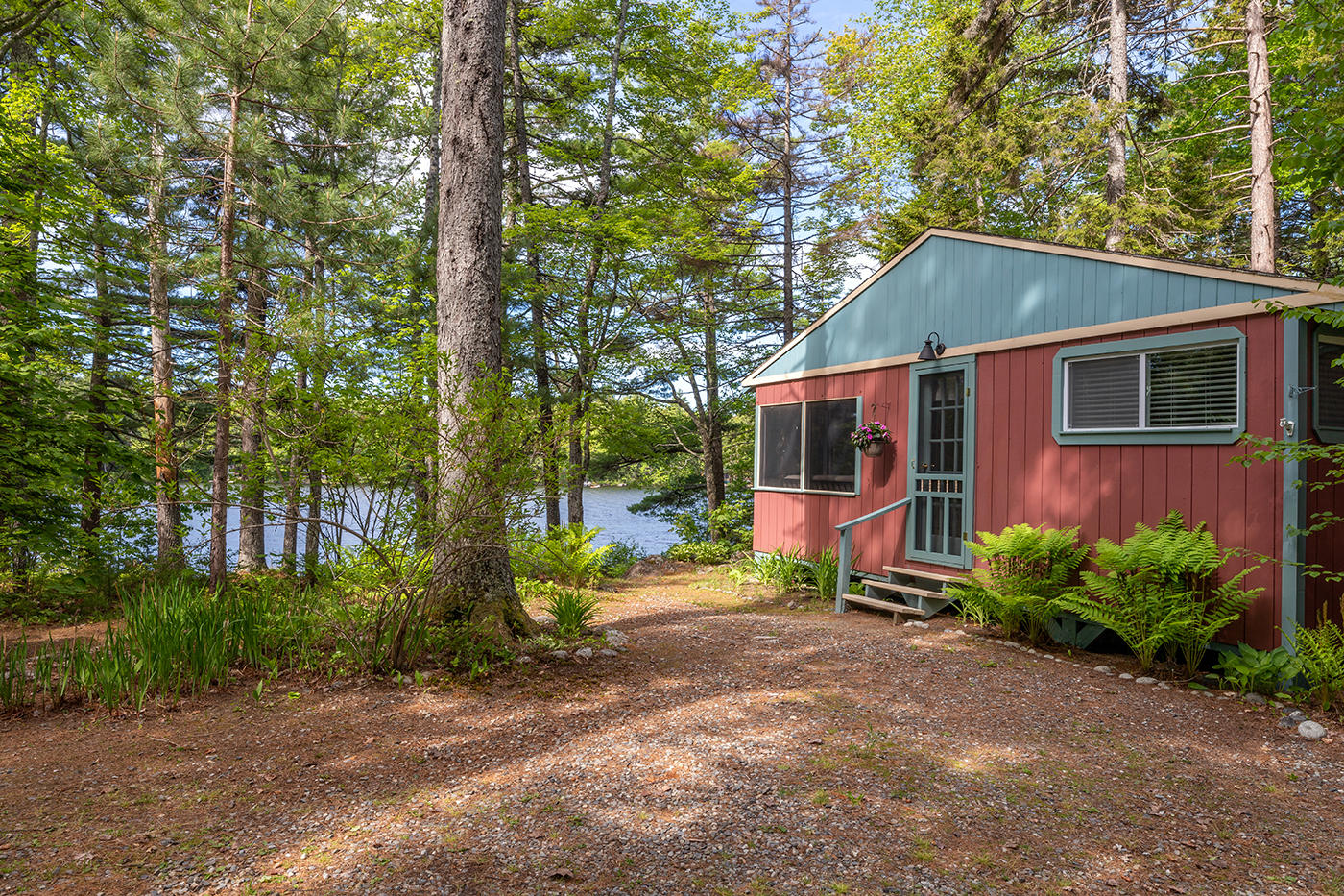 165 Whitehead Road Northport, ME 04849 - Photo 23 of 24 Side yard