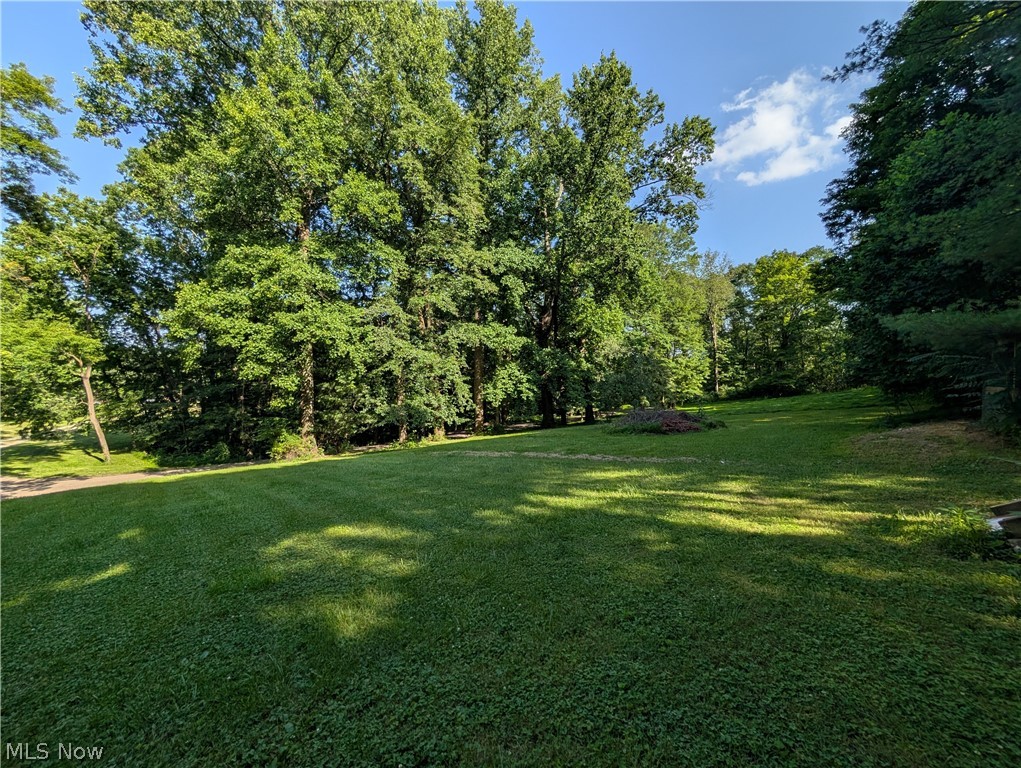 6700 McCaslin Road Nashport, OH 43830 - Photo 12 of 30 Expansive green lawn with dappled sunlight, surrounded by mature deciduous trees