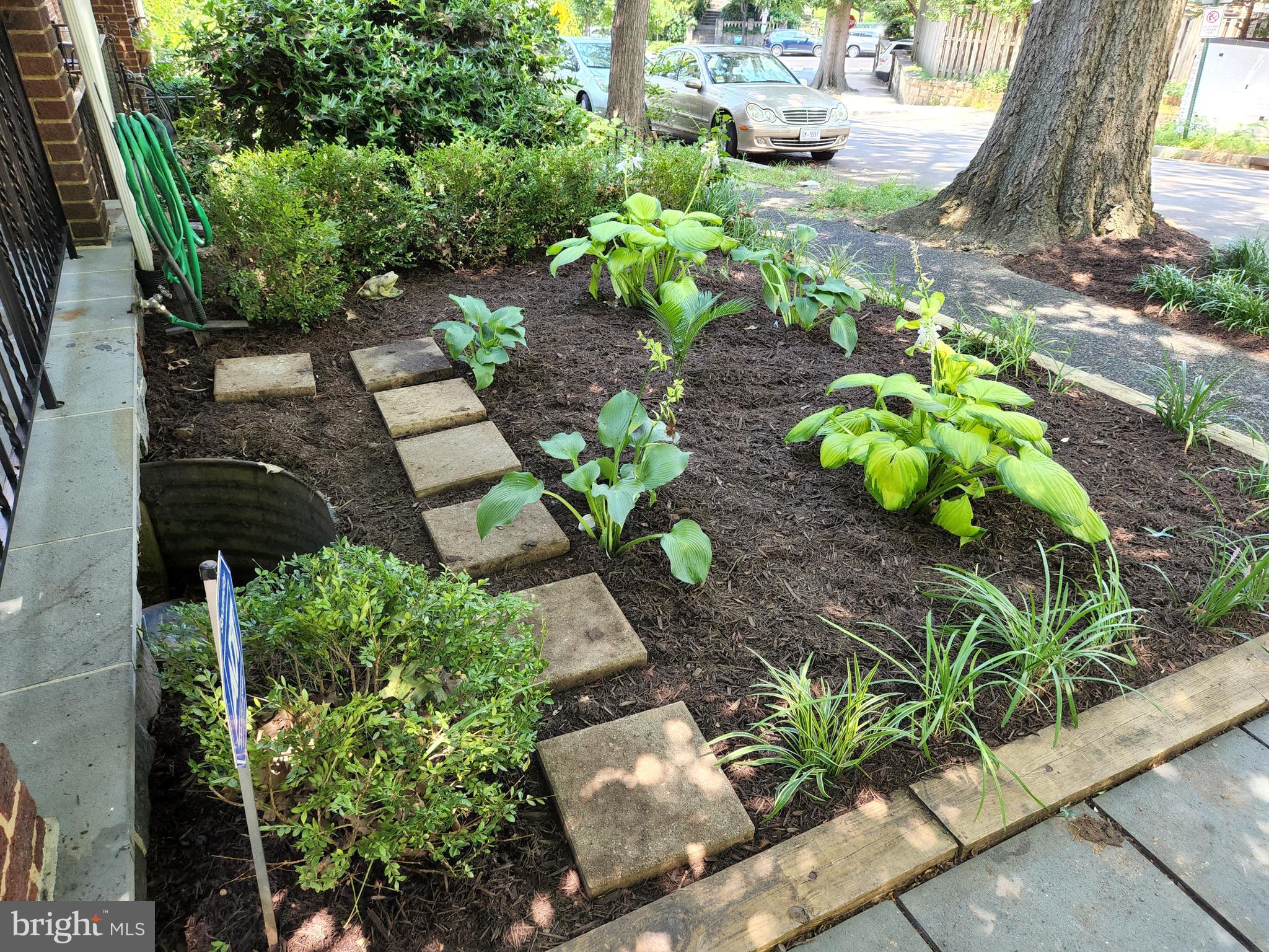 1770 Hobart Street Northwest Washington, DC 20009 - Photo 2 of 44 A Gardener's Delight!