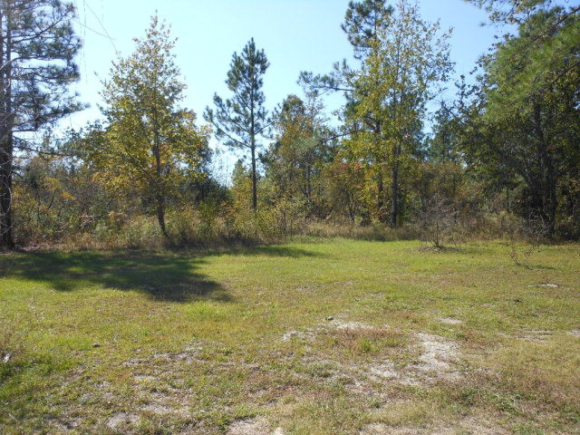 2499 Hancock Landing Road Waynesboro, GA 30830 - Photo 9 of 13 Gallery Image 9