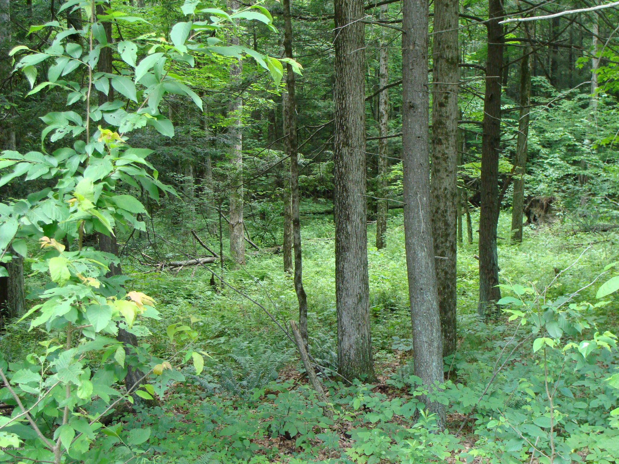 Old Gravity Road Lake Ariel, PA 18436 - Photo 4 of 9