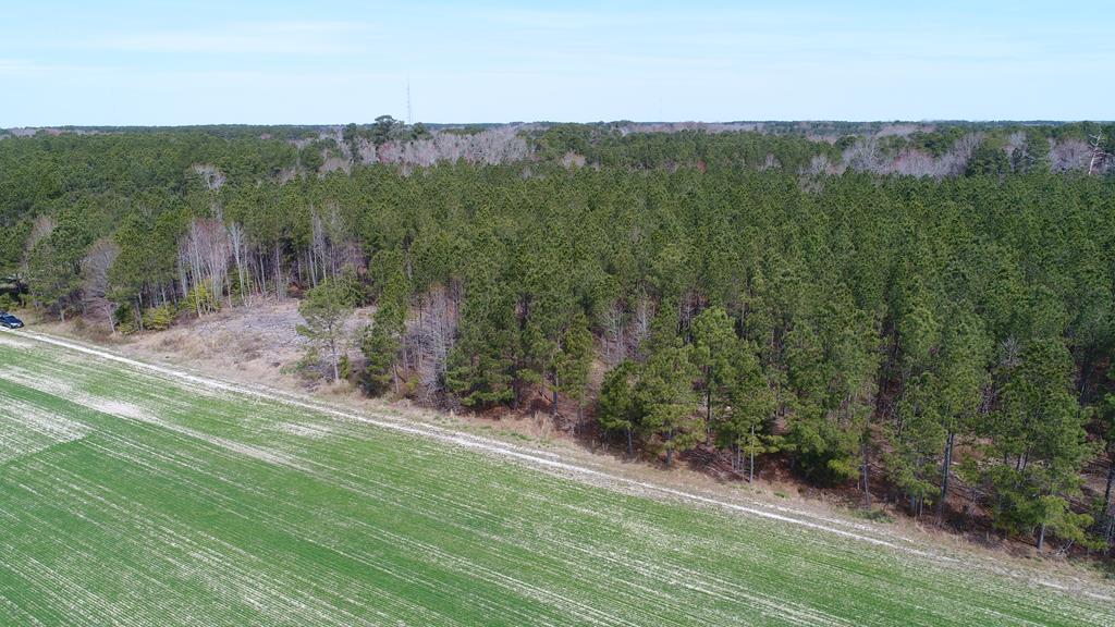 0 Drummondtown Road Accomac, VA 23301 - Photo 38 of 50