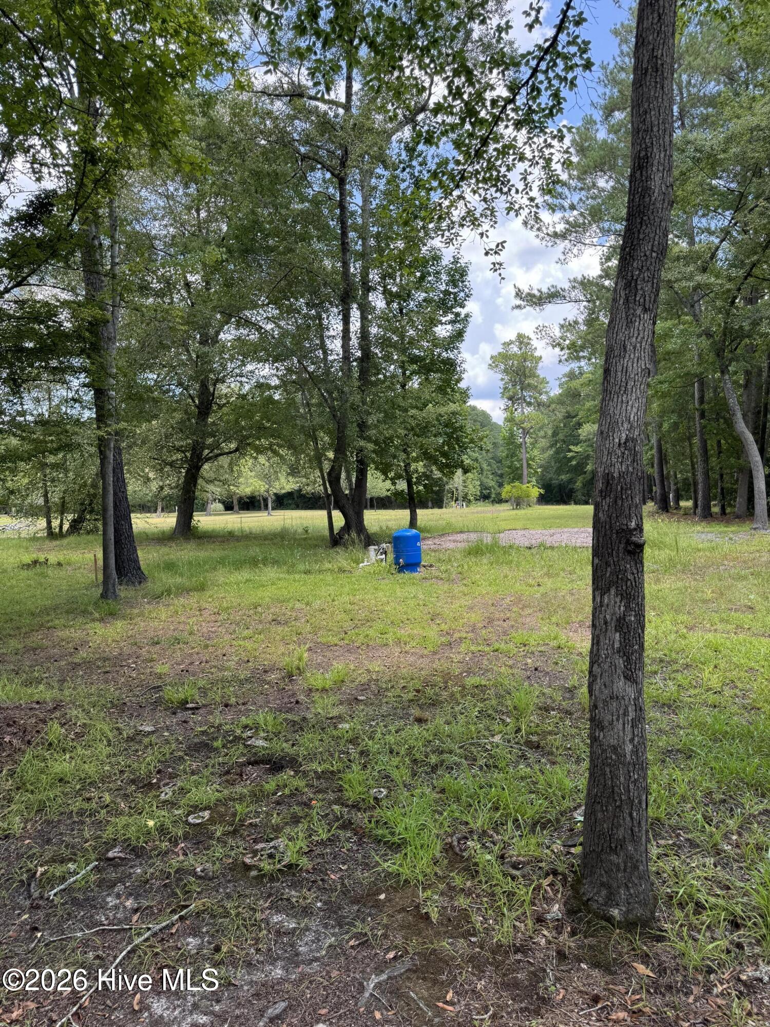 203 Estate Road Atkinson, NC 28421 - Photo 6 of 6
