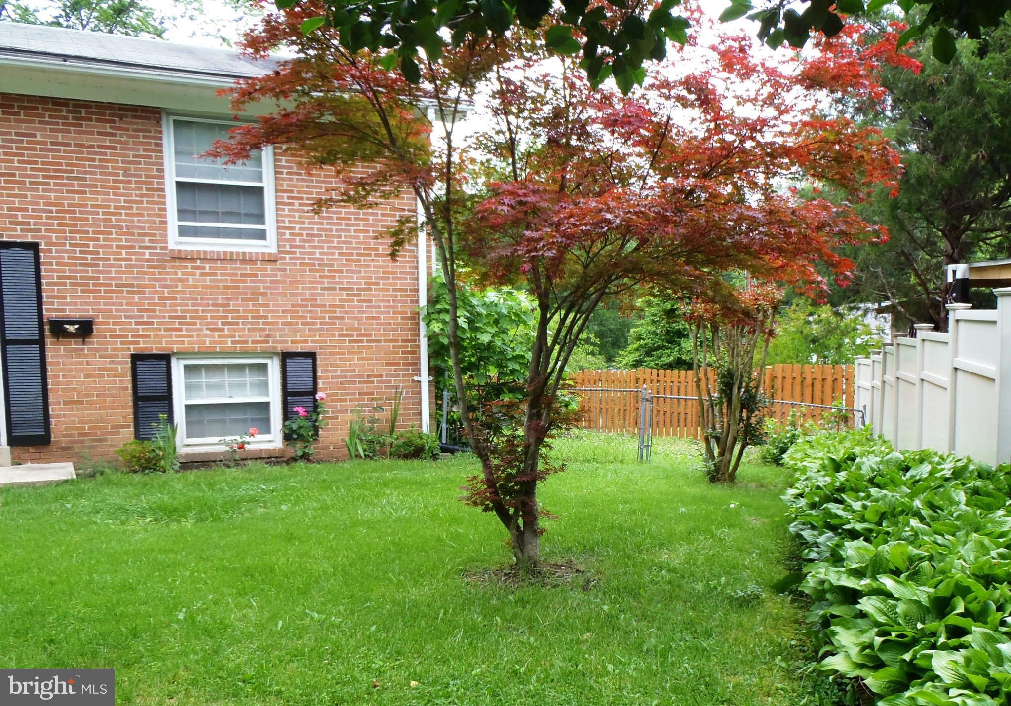 12003 Cook Court Silver Spring, MD 20902 - Photo 2 of 20 Landscaping in front yard.