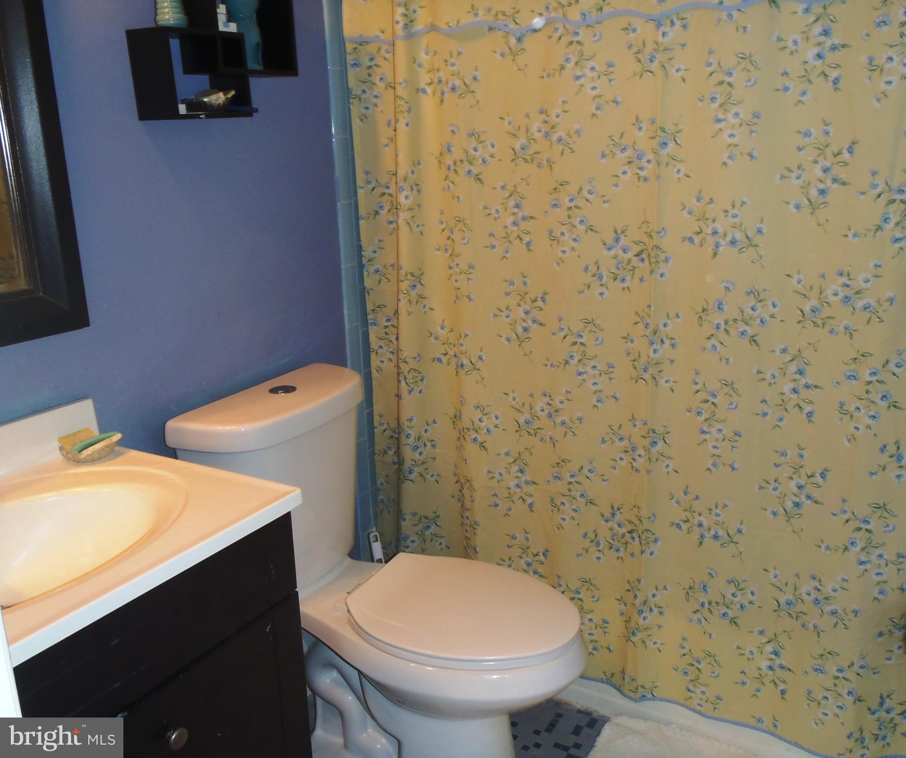 12003 Cook Court Silver Spring, MD 20902 - Photo 9 of 20 Upper level full bath with tub.