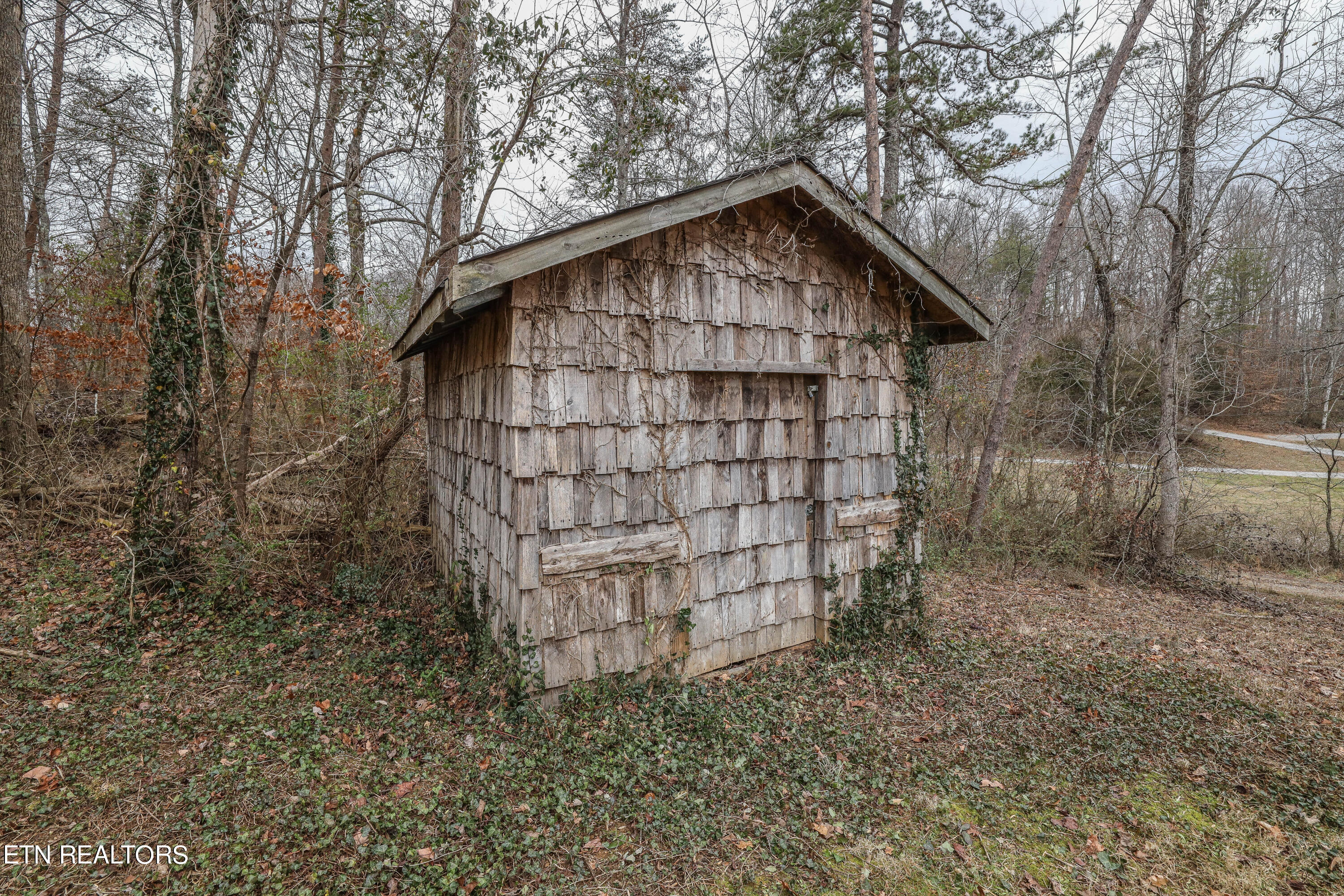 3911 Freels Road Friendsville, TN 37737 - Photo 8 of 53 3E6A9617