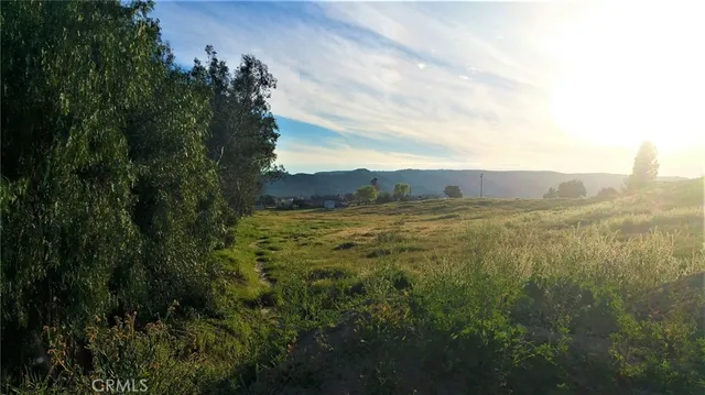 a view of a lush green forest with a mountain