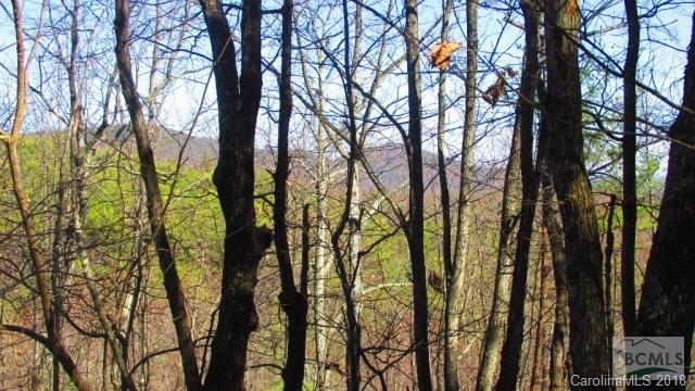 3623 Methodist Park Road Valdese, NC 28690 - Photo 2 of 17 Gallery Image 2