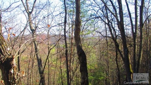 3623 Methodist Park Road Valdese, NC 28690 - Photo 5 of 17 Gallery Image 5