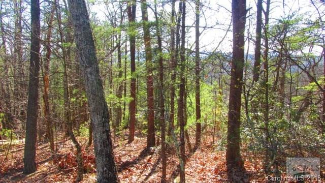 3623 Methodist Park Road Valdese, NC 28690 - Photo 6 of 17 Gallery Image 6