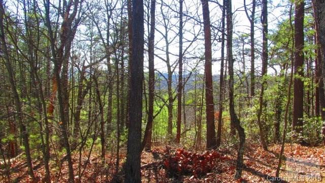 3623 Methodist Park Road Valdese, NC 28690 - Photo 10 of 17 Gallery Image 10