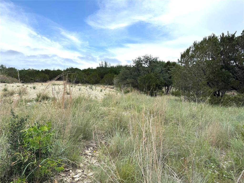 810 Anglers Ridge Bluff Dale, TX 76433 - Photo 7 of 23 Gallery Image 7