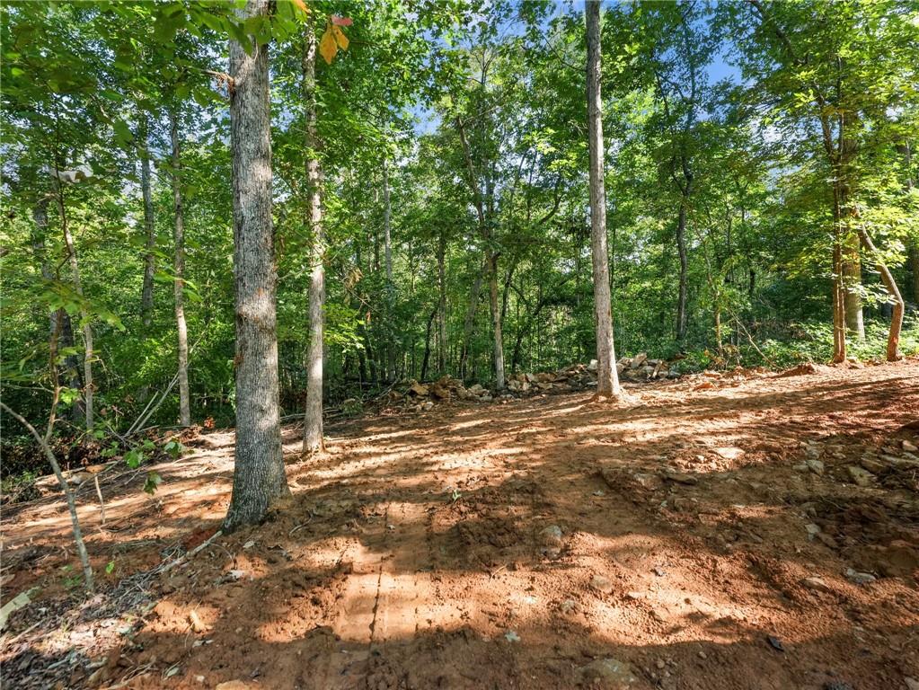 277 Eden Woods Road Clarkesville, GA 30523 - Photo 32 of 37 Gallery Image 32