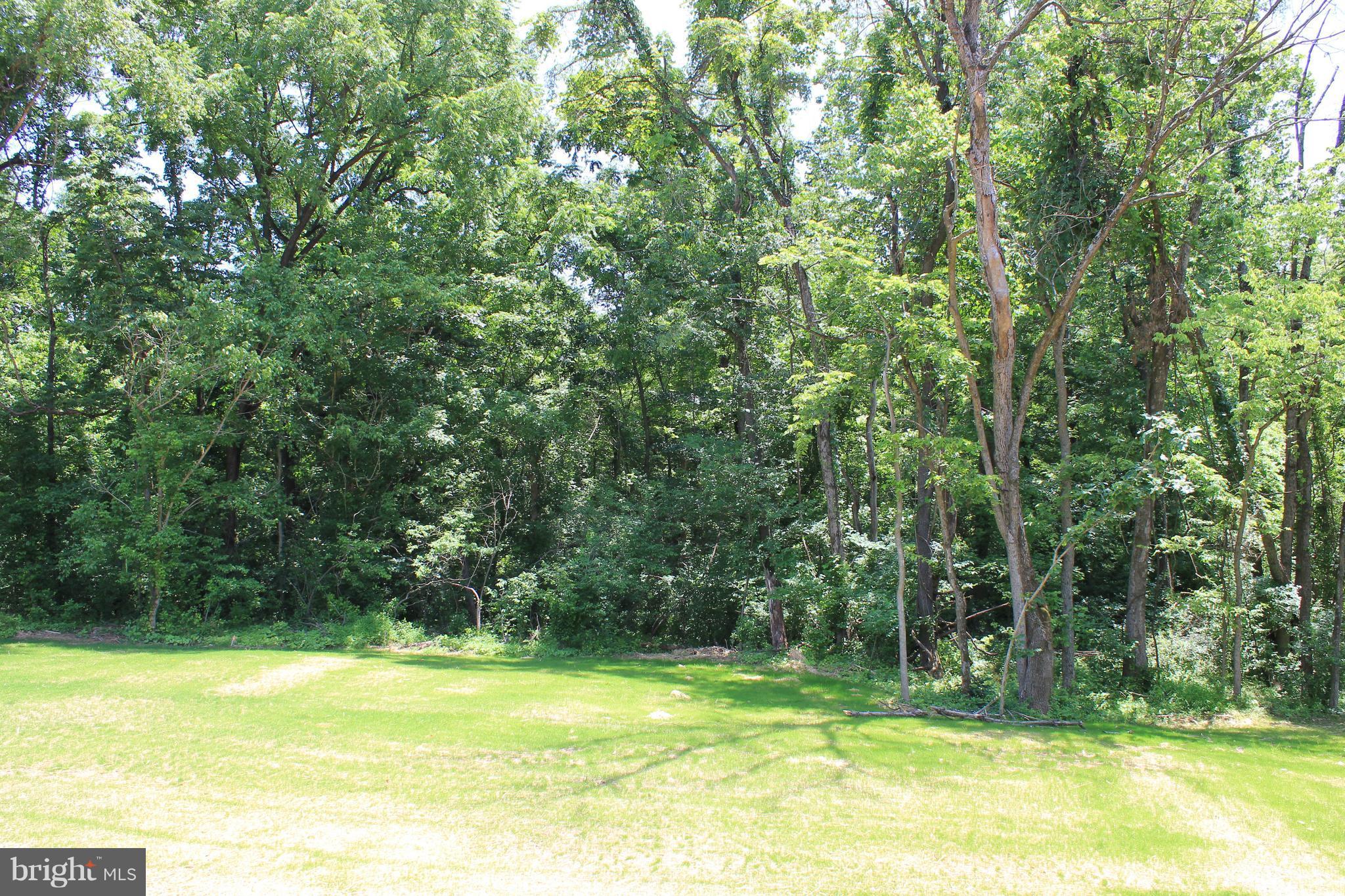 704 Nestle Quarry Road Falling Waters, WV 25419 - Photo 8 of 8 Exterior (Rear)
