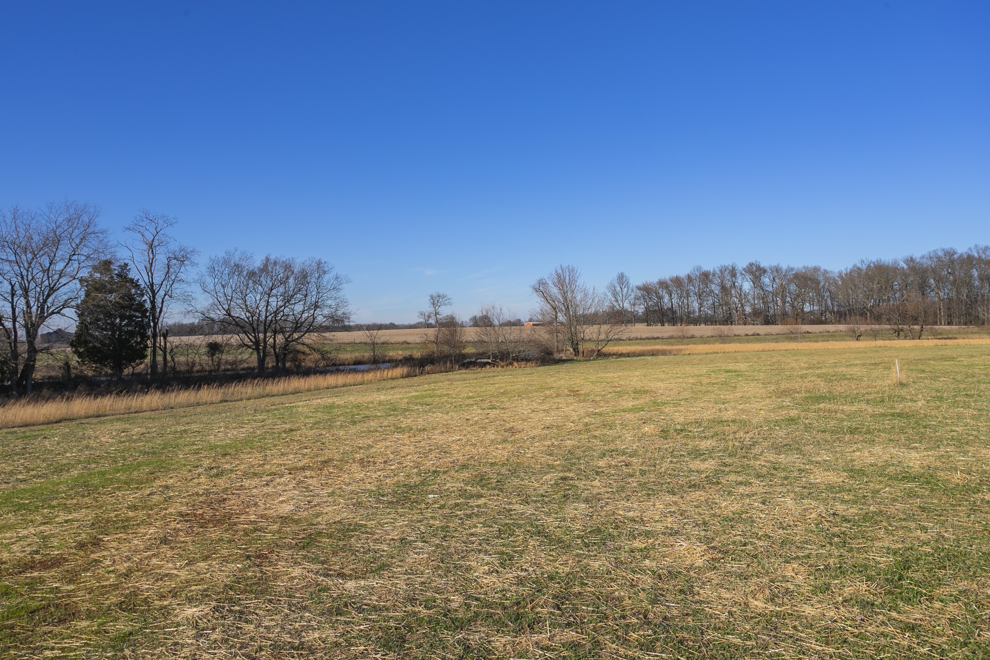 123 Vanatta Road Portland, TN 37148 - Photo 32 of 35