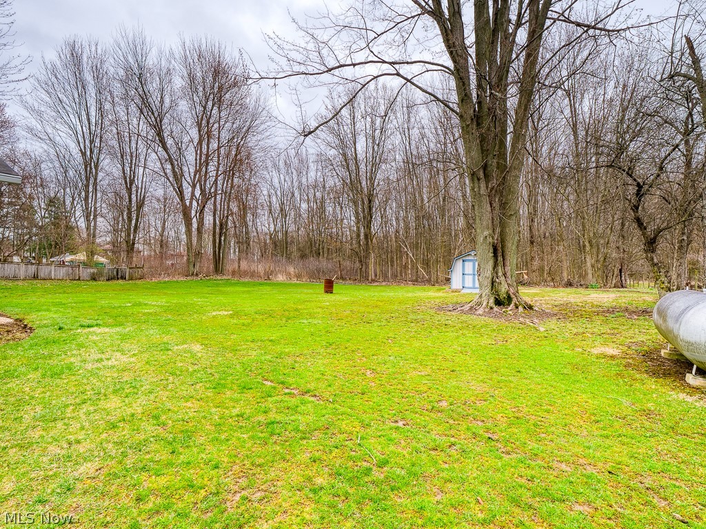 5175 Case Road North Ridgeville, OH 44039 - Photo 4 of 28 View of yard
