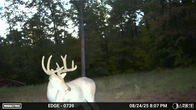 $148,000 | 410 Madison 410, Fredericktown, MO 63645