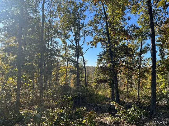 $148,000 | 410 Madison 410, Fredericktown, MO 63645