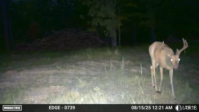 $148,000 | 410 Madison 410, Fredericktown, MO 63645